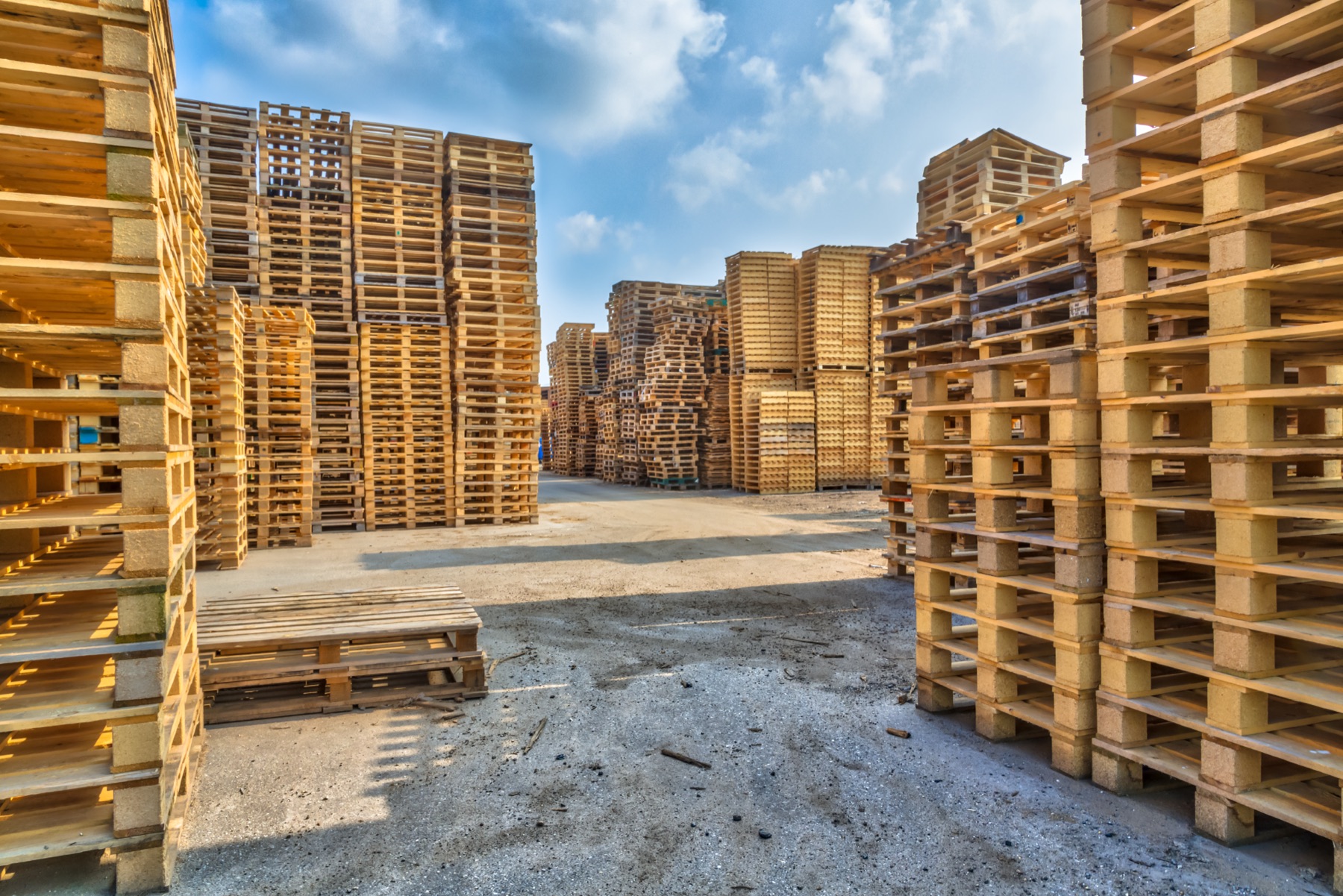 Timber pallet stacks in an outdoor yard, illustrative stock photograph